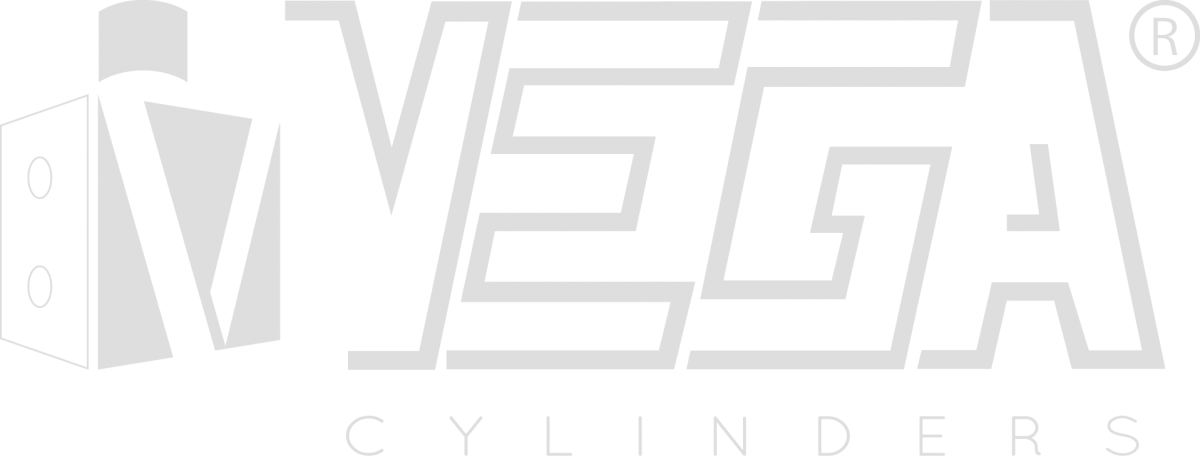 logo-vega-silver